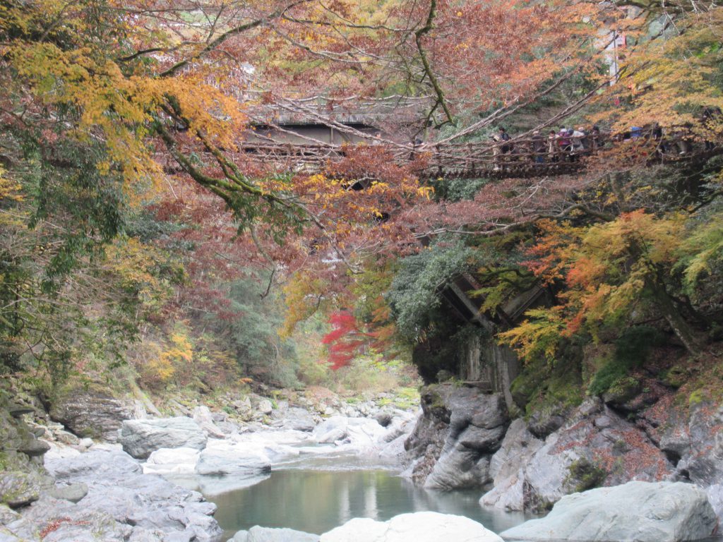 阿南市国際交流協会主催のバス遠足に参加(祖谷方面へ) 阿南工業高等専門学校